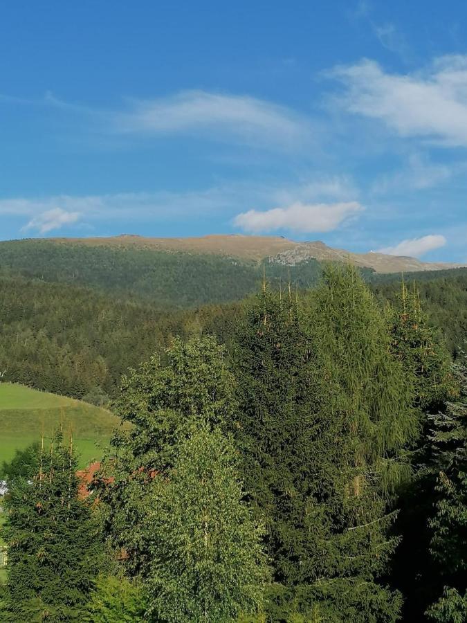 Ferienwohnung Familie Pichler Neumarkt in Steiermark Екстериор снимка