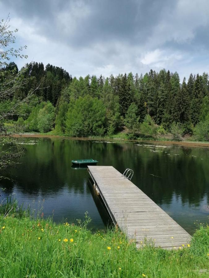 Ferienwohnung Familie Pichler Neumarkt in Steiermark Екстериор снимка