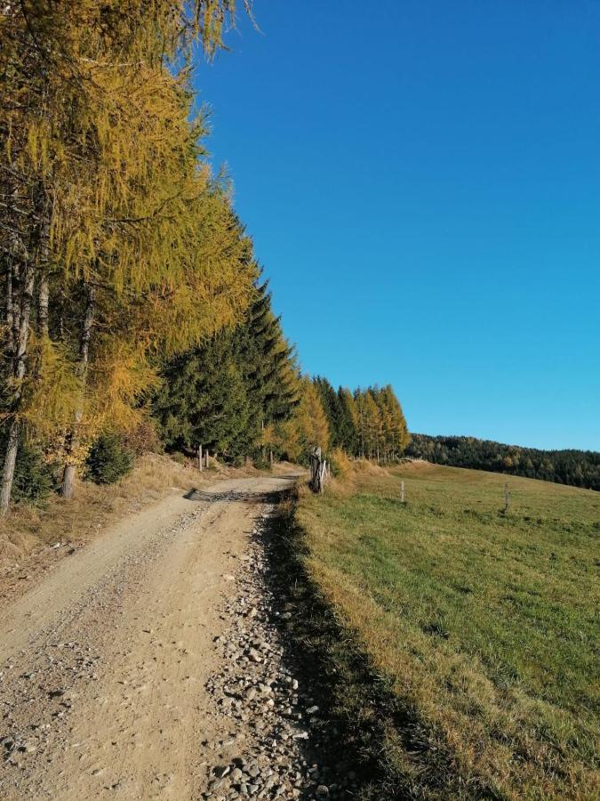Ferienwohnung Familie Pichler Neumarkt in Steiermark Екстериор снимка
